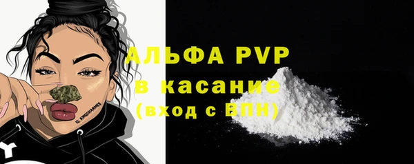 индика Абинск