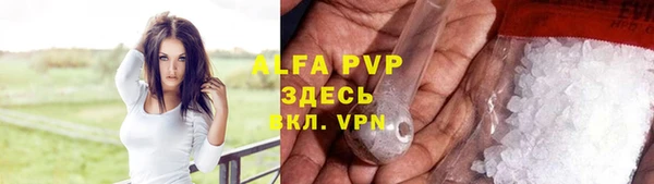 индика Абинск