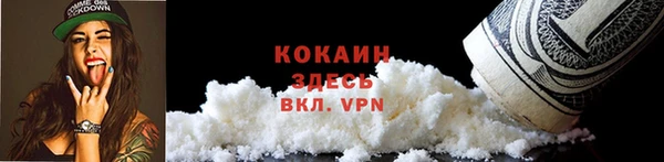 индика Абинск