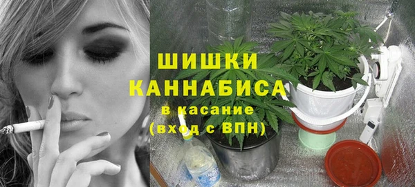 ешки Алзамай
