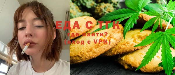 индика Абинск
