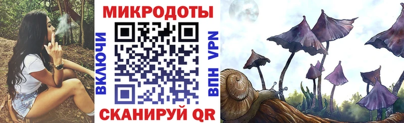 ОМГ ОМГ онион  Новомичуринск  Псилоцибиновые грибы GOLDEN TEACHER 